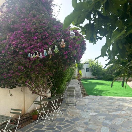 Hostl - Beds & Rooms - The Hostel Inn Paphos, Old Town, undefined