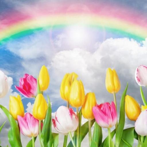 House Boat, undefined