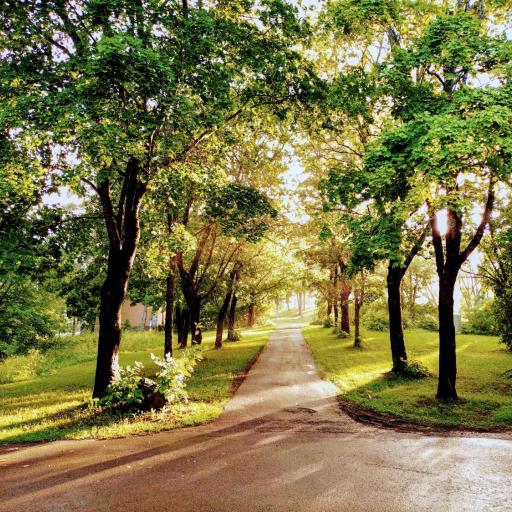 Ylisen Kartano, undefined