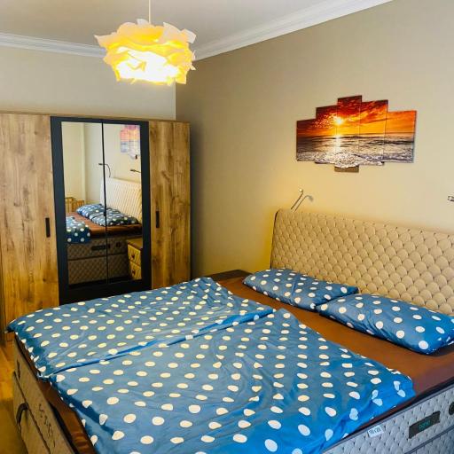 InterAssist 2, undefined