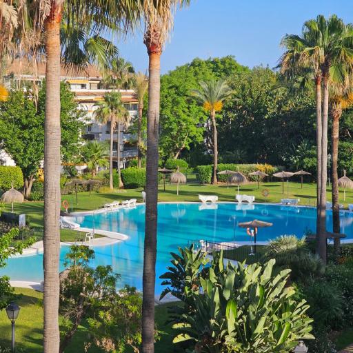 Lady of the Night apartment, undefined