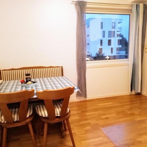 Cosy apartment near city center, undefined