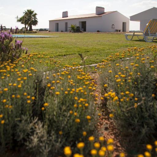 Monte Da Azarujinha, undefined