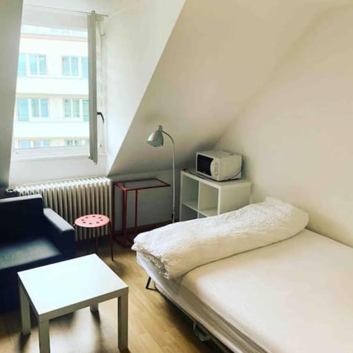 Leon Studio Steps from Zurich HB Station, undefined