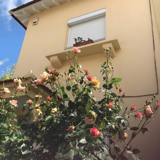 Casa do Bairro, undefined