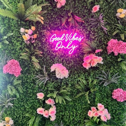 Stevenson apartment - Murrayfield, undefined