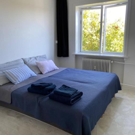 Comfort & Calm, undefined