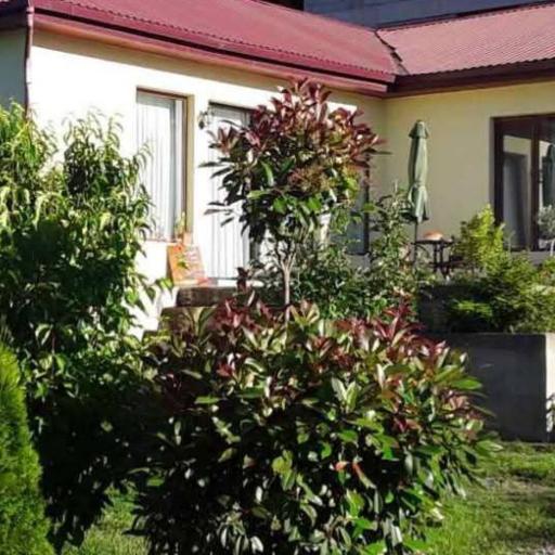 Tamuna's Avlabari house with garden, undefined