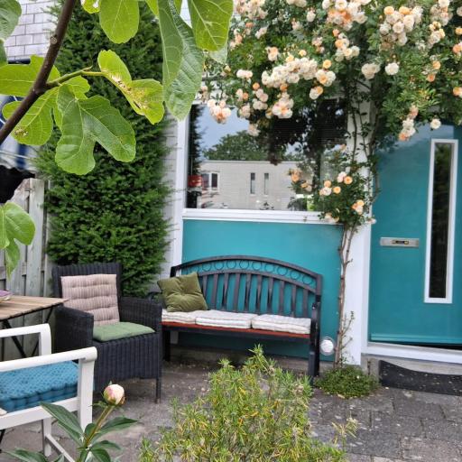 House nearby Amsterdam, undefined