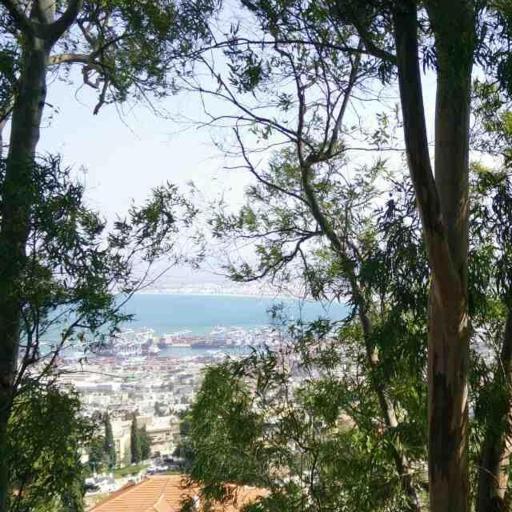 Panorama View Suite Carmel Center, undefined