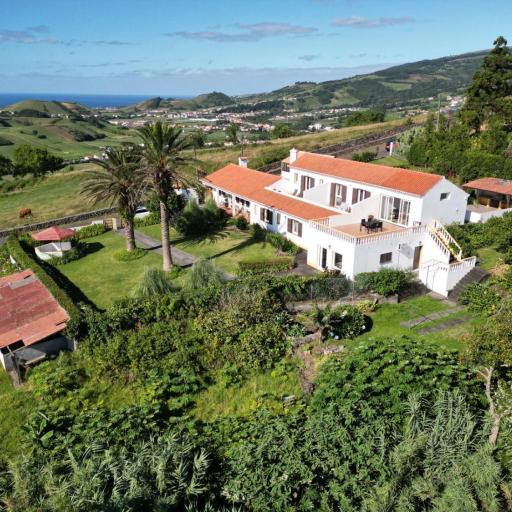 Majesty Charming, undefined