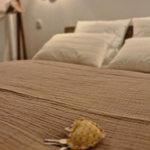 Maison LAVIGNE, undefined