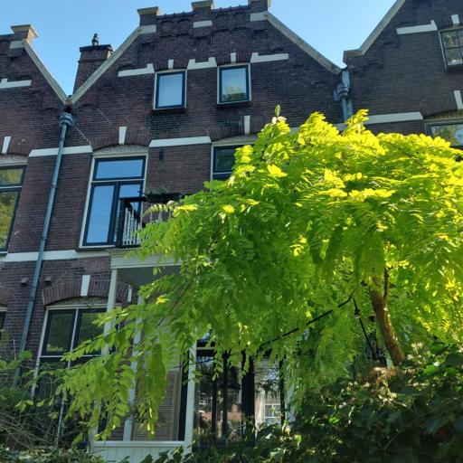 Historic townhouse 5 bedrooms, undefined