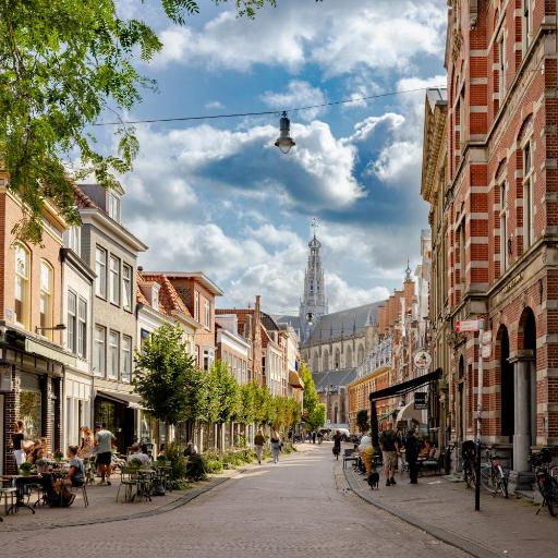 MAF Haarlem Boutique Hotel, undefined