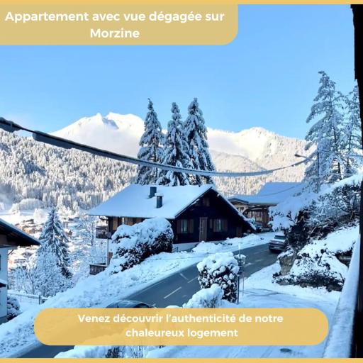 Le Flocon d'Argent I Studio I Morzine, undefined