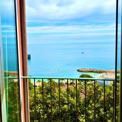 Sea view studio 5 minutes from Monaco and the beach, undefined