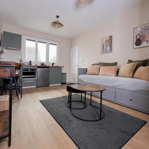 Le pédestre - Appartement cosy hyper centre-ville de DIJON, undefined