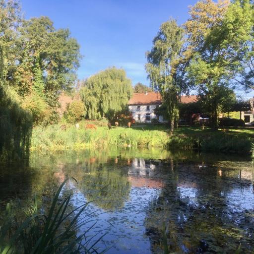 Aan de Jordaan, undefined