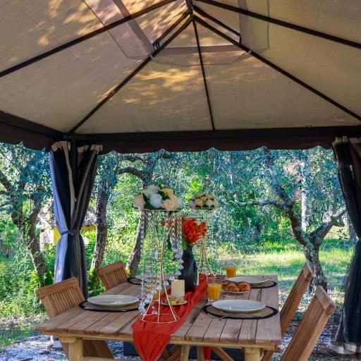 Olive Garden Loft Relax among Olive Trees and Gazebos, undefined