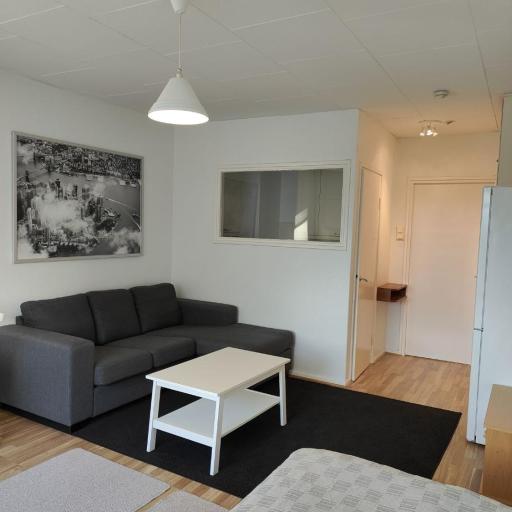 Studio apartment with parking, undefined