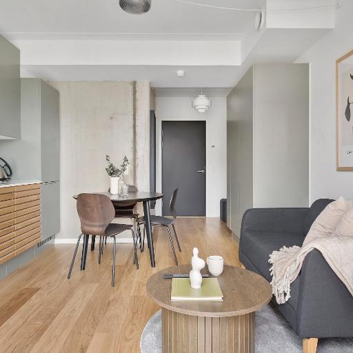 Modern Luxury Apartment, undefined