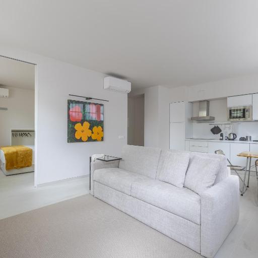 THE SOUTH apt, historiacal center Arco della Pace, undefined