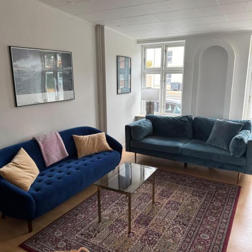 Spacious Apartment Near City & Åløkke Forest, undefined