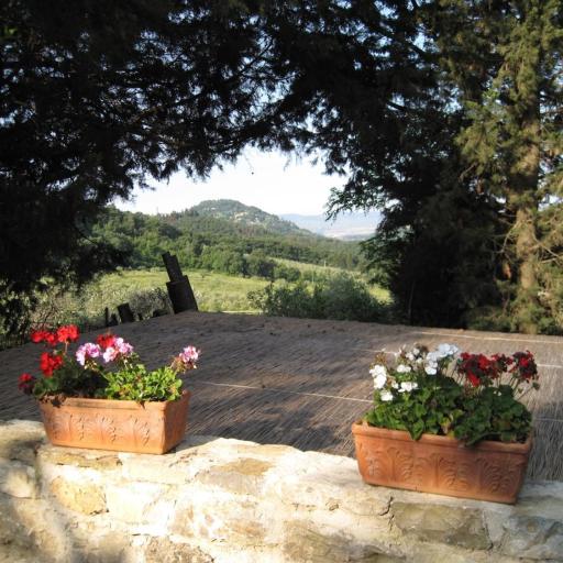 Fattoria il Leccio - Appartamento con terrazza, undefined