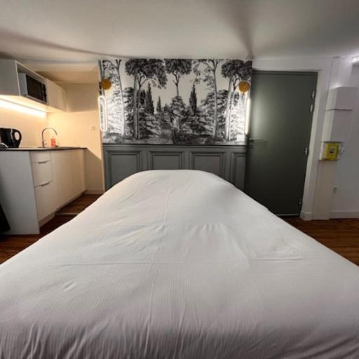 L'absinthe au coeur de Metz, undefined