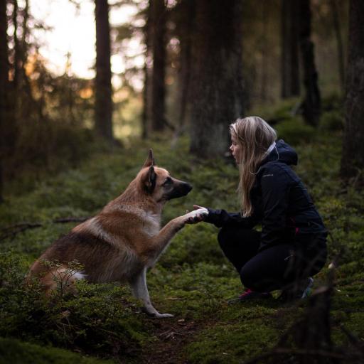 Juhlamenot Oy, undefined