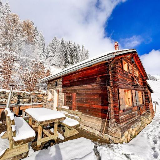 Le Raidillon Verbier, undefined