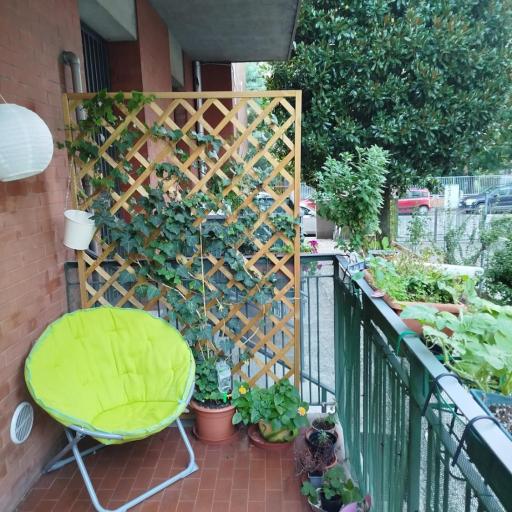 La Casetta di Elba in the center of San Lazzaro, undefined