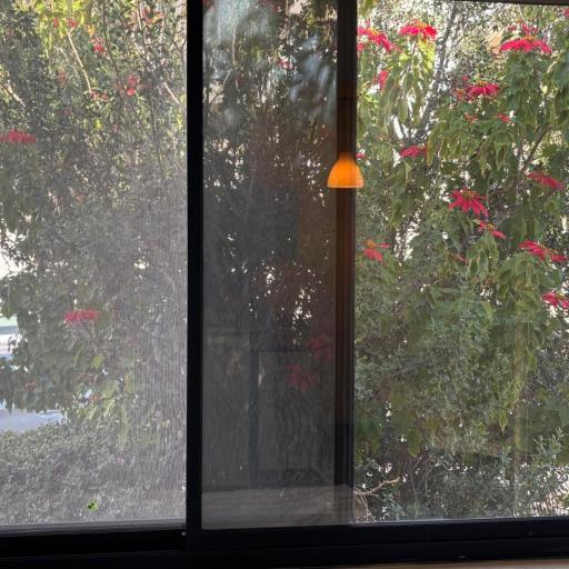 Butterfly, undefined