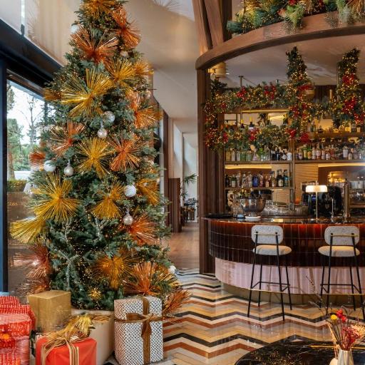 Hotel Pinar Plaza, undefined