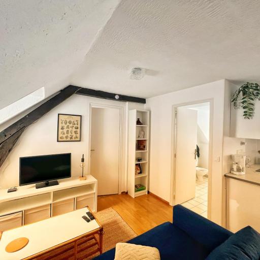 Urban Jungle T2 Pau tout à pied, undefined