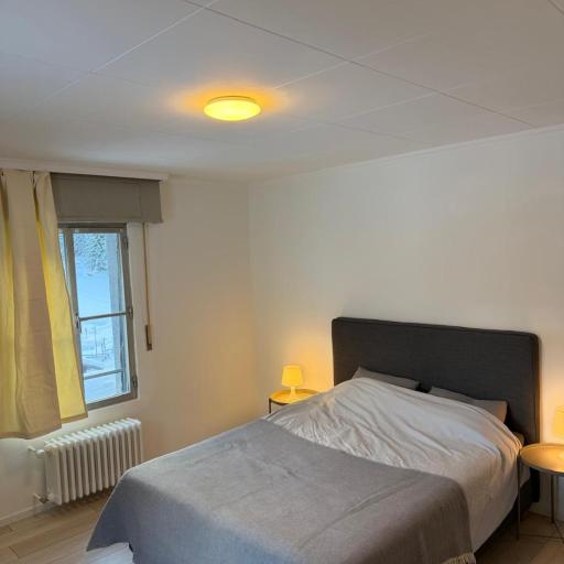 3 bedrooms apartment in Fionnay, undefined