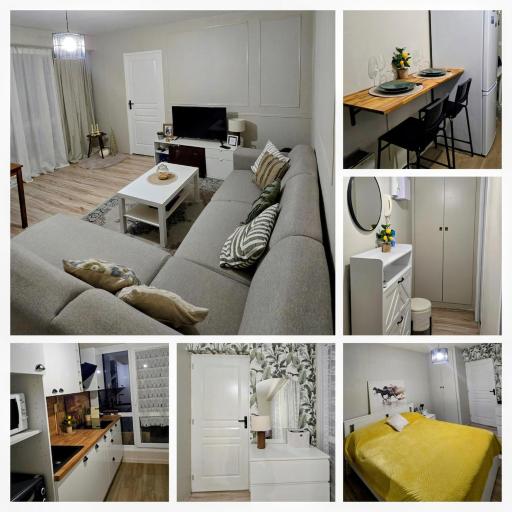 Nancy city center appartment, undefined