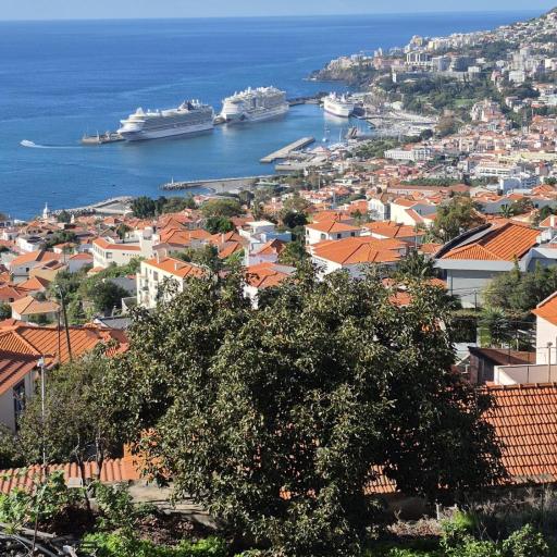 Latin House, undefined