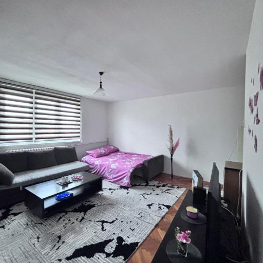 Stan na dan, undefined