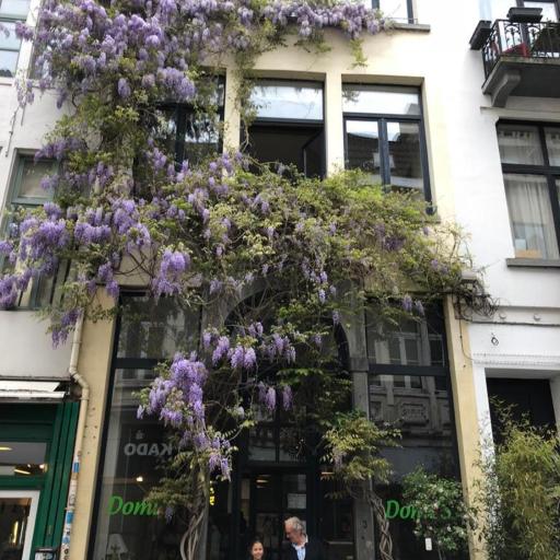 Great apartment with a soul in the middle of the center, undefined