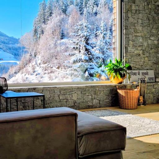 ALMMONTE LIGNUM - Premium Lodge, undefined