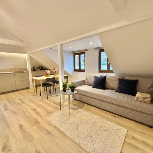 Charmant cocon à Strasbourg, undefined