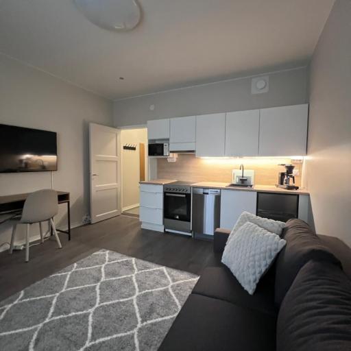 Newly renovated studio apartment in centrum of Lahti, undefined