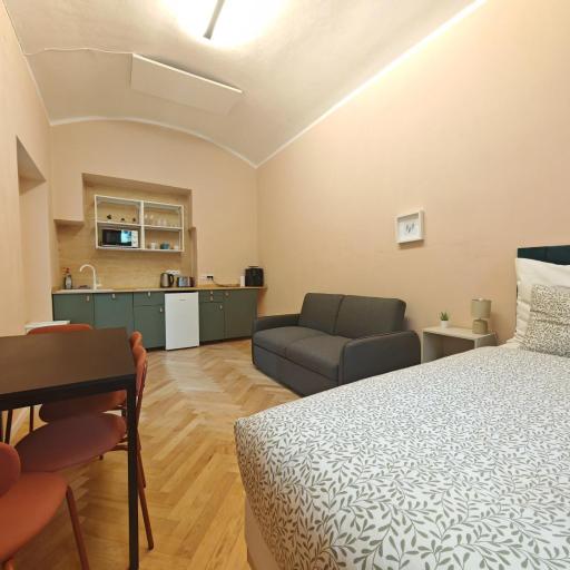 Spacious, Light Studio Apartment in Vinohrady, undefined