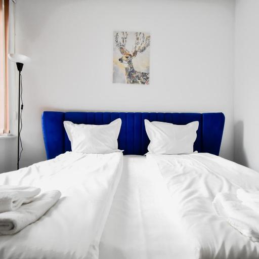 Cozy Central 1BD Apartment, undefined