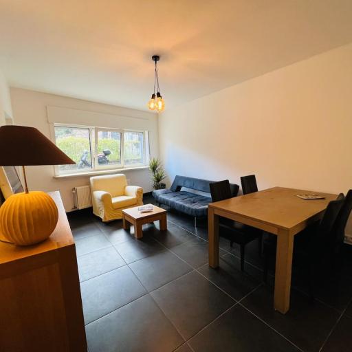 Ground floor apartment in the city center, undefined