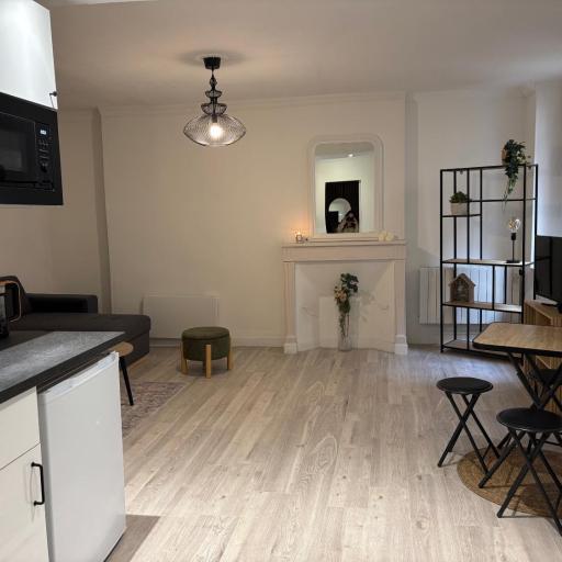 T2 4 pers rénové au cœur du centre historique Place de la Libération, undefined