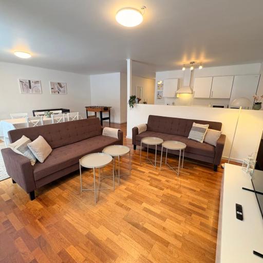 K&V Apartments Billund Near Legoland, undefined