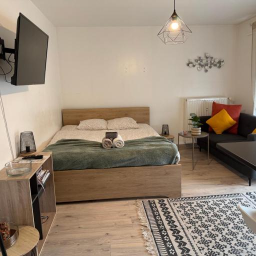 Joli Studio A Euroairport-BASEL-MULHOUSE-FREIBURG, undefined