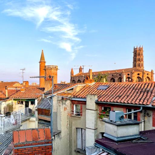 Petit Nid sous les Toits de Toulouse, undefined